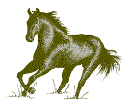 Pferd