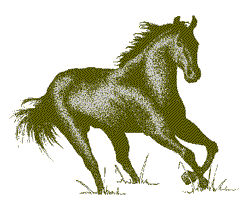 Pferd